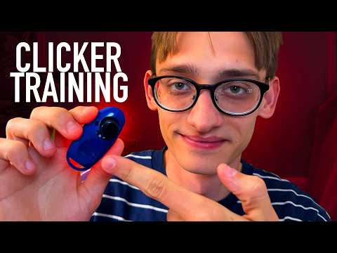 ASMR Clicker Training My Puppy