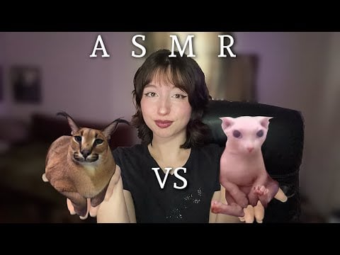 ASMR | Bingus Vs Floppa | Whispering + Mic Scratching + Tongue Clicking 