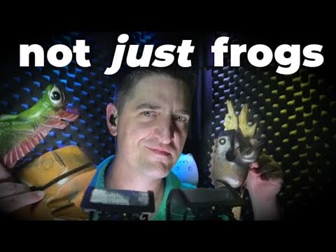 Guiro Frogs 🐸& Different Percussion Experimental #ASMR #SleepAid #Tingles