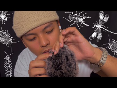 ASMR Bug Searching 🔦 Intense Plucking 🐛 Scratching Sounds!