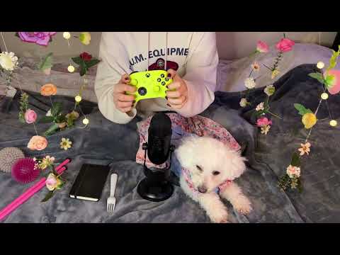 ASMR Relaxing sounds with Belle & Oliver | Tapping | Clicking sounds | Tingles for sleep or Studying