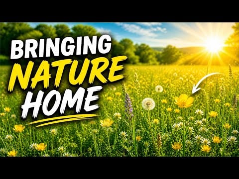 Relaxing Nature – Bringing the Outdoors Home