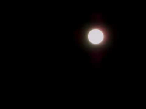 ASMR - Moonlight Whispering & Soft Speaking