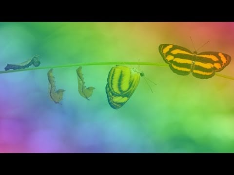 C’est nous qui changeons, pas ce qui est, une méditation sur l'espoir - Voix douce musique relaxante