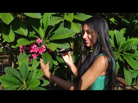 ASMR NO PARQUE DA MINHA CIDADE 🌳