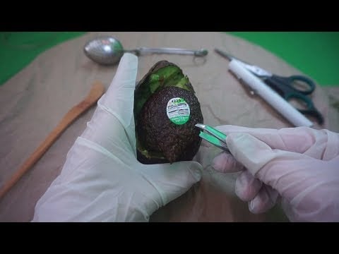 ASMR~ Emergency Surgery on an AVOCADO - Medical Roleplay