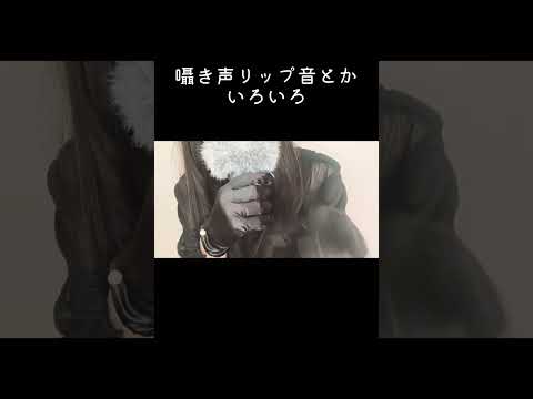 囁き声とかリップ音、たまに音    #asmr #音フェチ #asmrsounds #囁き声 #イヤフォン推奨 #立体音響   #ロールプレイ