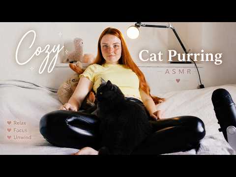 this was supposed to be a different ASMR video, but the cat had other plans🙀No Talking