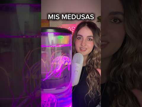 Mis mascotas MEDUSAS 🪼 #asmr #medusa