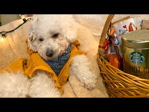 Asmr Coffee Gift Basket | Soft Spoken, crinkling Sounds & Tapping