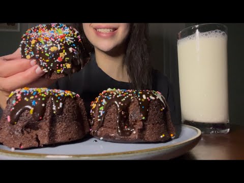 ASMR FUDGY GALACTIC CHOCOLATE BROWNIE NOTHING BUNDT CAKES 