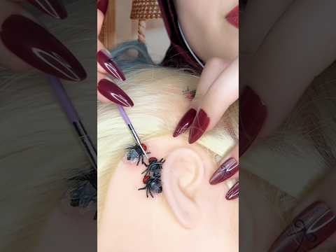 Bugs behind your ear 😭 #asmr #shorts #visualtingle #asmrtriggers #satisfying #satisfyingasmr
