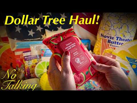 ASMR Dollar Tree Haul! (No Talking Version) Unique Items to Discover!