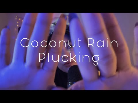 Coconut Rain + Plucking 🥥🌧️🤏🏼