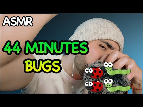 ASMR Bugs (Searching & Plucking)