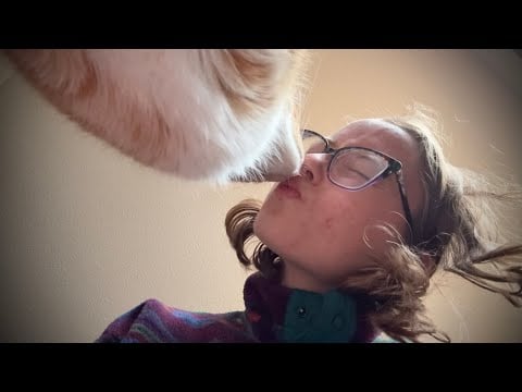 Hand Movements From Up Above ASMR ft. Axl the Cat | Lofi Monday's