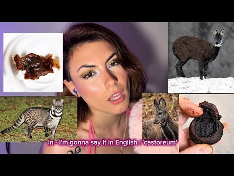 ASMR | Tipsy perfume collection/ Colección de perfumes bien achispada 🤪🍾 (BILINGUAL SUBTITLES) 