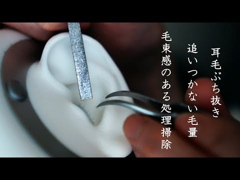 【ASMR無言】耳毛剃り・耳鏡で回収・ぶち抜いても追いつかない多毛。逆毛が刃の隙間に絡まる毛束感。湿って柔らかくなった皮膚肉から耳毛をこそぎ取る感触の処理掃除 Ear hair removal