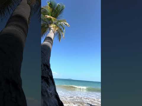 beach ASMR to soothe you! Back from vacation w/ live asmr tonight #asmr #relax