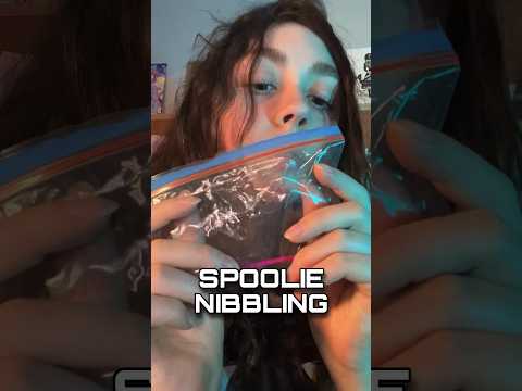 ASMR SPOOLIE NIBBLING #asmr #shorts