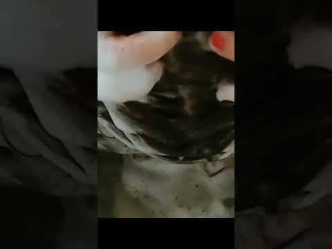 ASMR Shampoo #short #asmr #asmrshampoo #asmrfoam #asmrwashing #asmrlillyluna