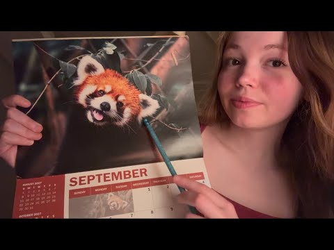 ASMR-Tracing/Explaining an Animal Calendar🐅🐊🦭