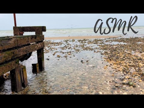 ASMR Guided Meditation ~ Relaxing Beach Walk 🌊