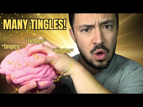 🔴 Giving You BRAIN TINGLES 🧠✨✨✨