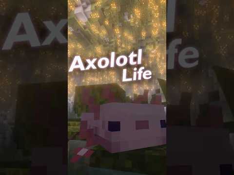 The tranquil life of a Minecraft Axolotl 🦎