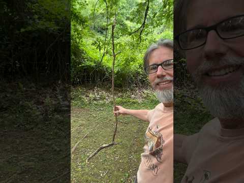 Stick of the Day for June 10, 2026