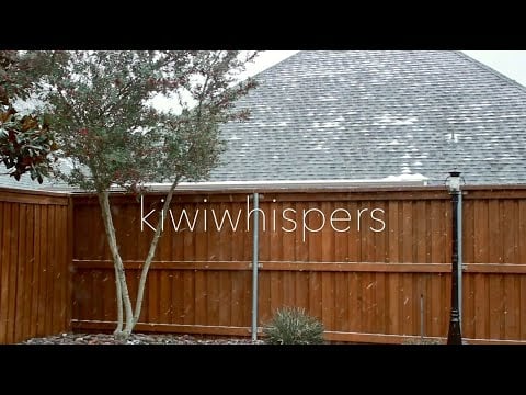 ASMR | Whisper Ramble Update while it Snows Outside (Soft-spoken)