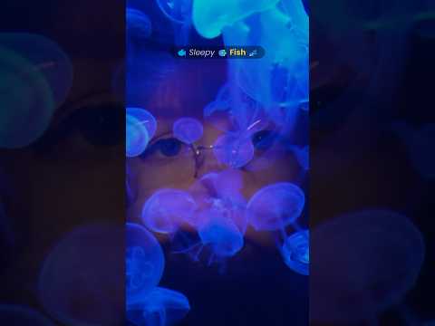 Sleepy fish 🐠 at the bottom of the sea #asmr