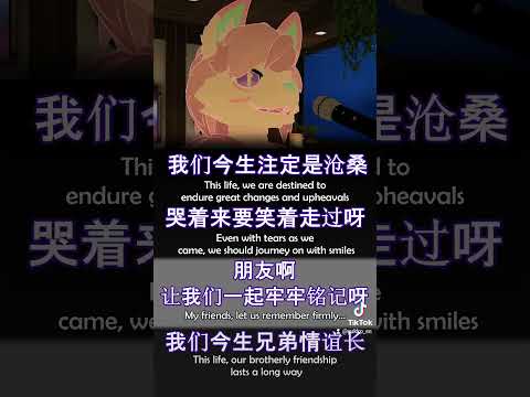 is this dog cooking? 😢今生缘