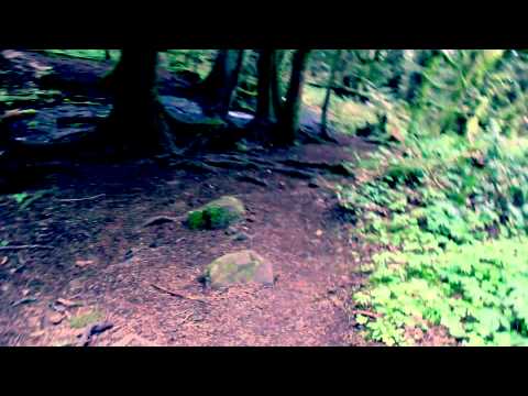 SW Meets ASMR Trailer