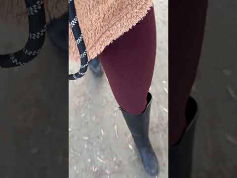 ASMR Wanderung im Sturm, aber nichts hält mich davon ab! 🤓