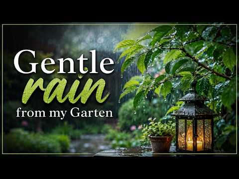 Gentle Rain From My Garten l Real Rain Sounds for Sleep