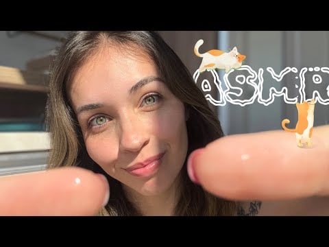 ASMR | Banho de gato (spit painting)