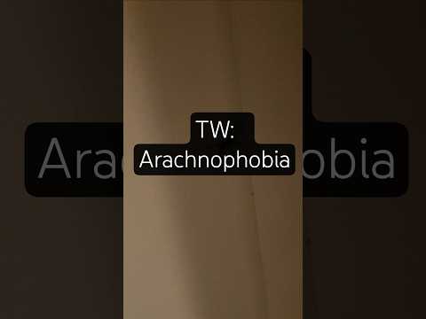 wait till the end!! #asmr #asmrsounds #munasmr #fyp #xyzbca #spider #bugs #insects #arachnid #viral