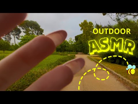 ASMR ALL' APERTO - Suoni della Natura, Camera Tapping, Scratching sugli Alberi & Pioggia