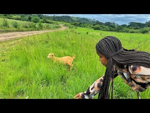ASMR South African Village Walkthrough