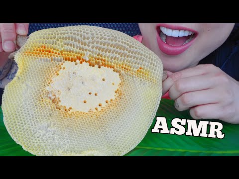 ASMR RAW HONEYCOMB (RELAXING SOFT EATING SOUNDS) NO TALKING | SAS-ASMR