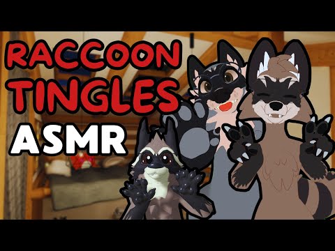 [Furry ASMR] Many Raccon Give You Tingles! (Layered Sounds, Paw Movements, Pets...)