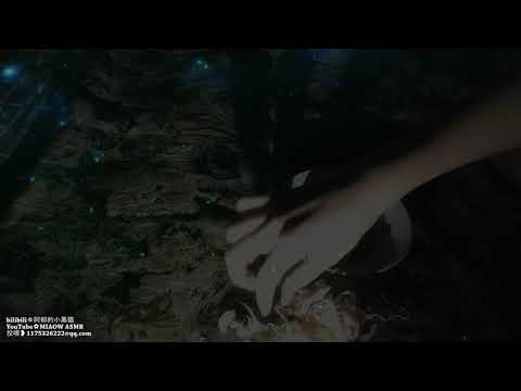 MIAOW ASMR CHEWING  鱿鱼丝。。咀嚼音EATING2