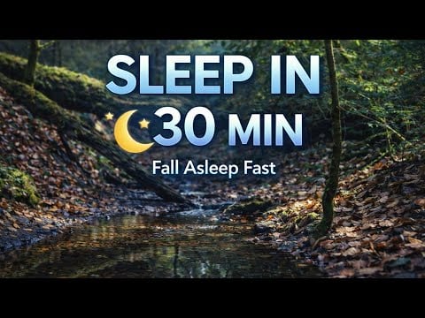 “Fall Asleep in 30 Minutes 😴 Forest Stream & Bird Sounds”