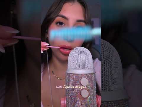 Cepillo de Maquillaje✨ ASMR Sonidos Suaves #asmr #tingles