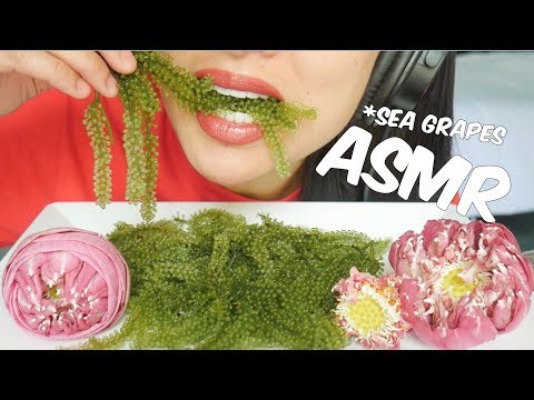 ASMR RAW SEA GRAPES (EXTREME CRUNCH EATING SOUNDS) NO TALKING | SAS-ASMR