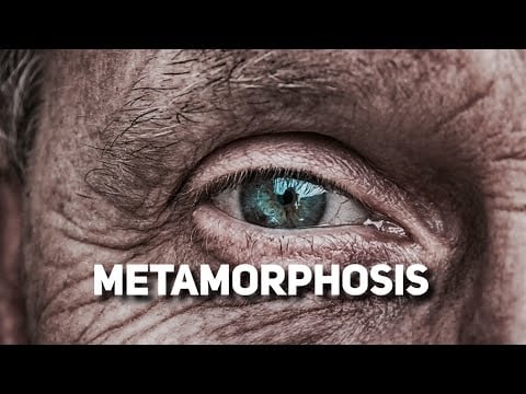 The Metamorphosis (1) by Franz Kafka 1915 | ASMR Sleep Story with Thunderstorm Ambiance