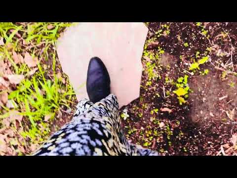 ASMT cowboy boots walking quiet sounds relaxing