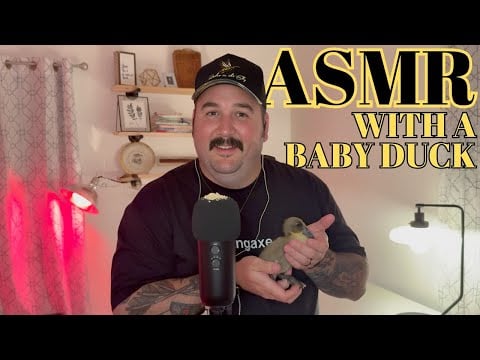 ASMR // ASMR with a Baby Duck