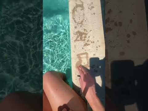 guess the celebrity asmr game #asmr #asmrgames #asmrgame #pool #asmrtriggers